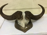 Water Buffalo Horn Mount (Local Pick Up Only)