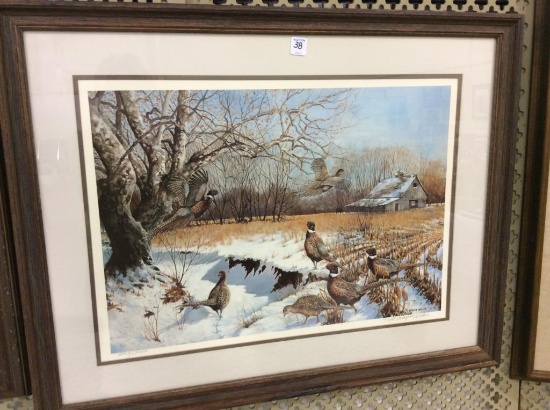 Framed Pheasant Print by M. Wayne Mills