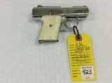 Raven Arms Model MP-25 25 Auto Pistol