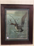 Framed Duck Print by G. Muss-Arnolt