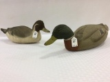 Lot of 2 Drakes-Mallard & Pintail