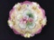 RS Prussia Floral Painted Bowl