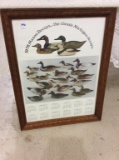 Framed 1978 Mason Decoy Calendar Print of MIchigan