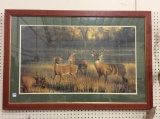 Lg. Framed Deer Print by N. Glazier