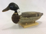 Henry Holmes Mallard Drake (5-31)