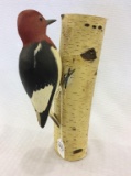 Wood Pecker by Bob Allen Chillicothe, IL (2-18)