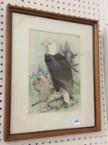 Framed Eagle Print (Approx. 15 X 18)