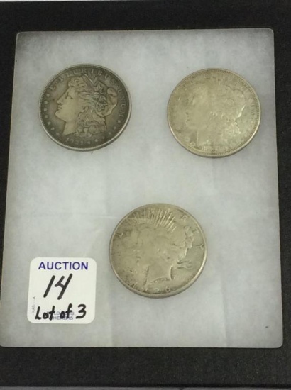 Lot of 3 Silver Dollars Including