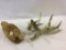 Unpainted Wood Decoy & Group of Antlers