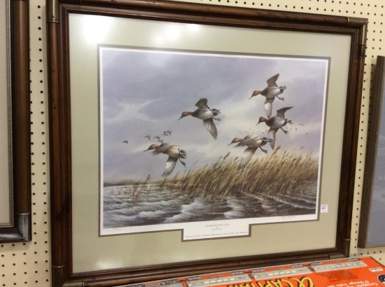 Lg. Framed Duck Print "Rough Water Cans" By