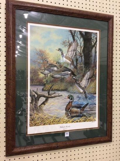Framed Duck Print-"Wabash Woodies"