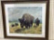 Framed-Signed & Numbered Buffalo Print