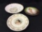 Lot of 3 Painted Plates Including