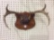 Sm. Mounted Antlers (16 X 9)