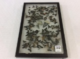 Lg. Collection of Various Shark Teeth