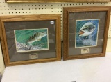 Lot of 2 Framed Prints of Fish w/ Lures