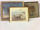 Group Including  4 Framed Horse Prints Including