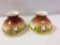 Lot of 2 Matching Scenic Painted Lamp Shades