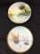 Lot of 2 Hand Painted Nippon Plates-One