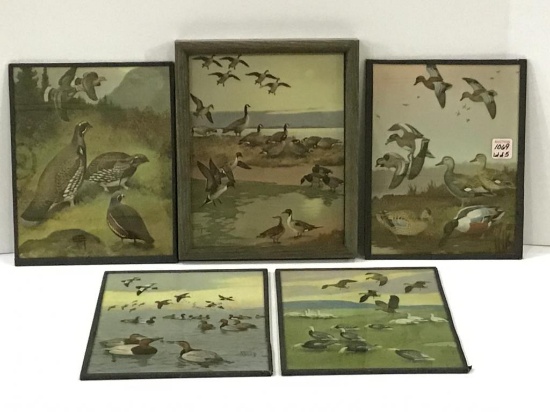 Lot of 5 Sm. Framed Duck & Wildlife Pictures by
