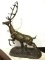 Very Lg. Heavy Bronze Buck Deer Statue