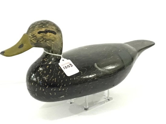 Otto Garren Black Duck (19)