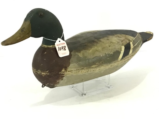 Mallard Drake From Princeton Duck Club-Possible