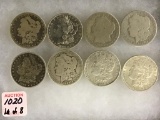 Collection of 8 Morgan Silver Dollars