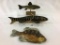 Lot of 3 Various Fish Decoys