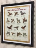 Framed Adv. Poster-Know Your Upland Game Birds
