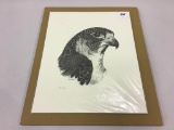 Falcon Drawing by Jennifer Kocher From Snake River