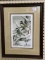 Framed Signed & Numbered Bird Print by Bart