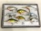 Lot of 8 Fishing Lures