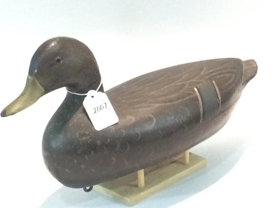 Black Duck by Charles H. Perdew
