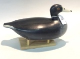 Coot by Otto Garren-Canton, IL