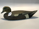 Widgeon Drake by Harold Haertel