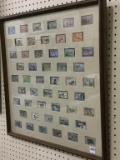Great Collection of Framed Migratory Bird Stamps