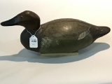 Wisconsin Canvasback Hen