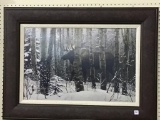 Framed Contemp. Print of Moose in Woods by