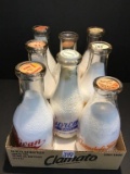 Lot of 8 Quart Size Milk Bottles Including