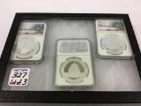 Lot of 3-2020 China S10Y 30 G .999 Silver Panda