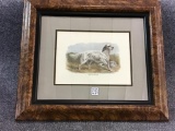 Pair of Very Nice Matching Framed Setter Dog