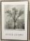 Framed Ansel Adams WInter Print
