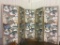 5 Section Folding Screen w/ Duck Design