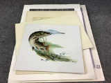 Group of Various Un-Framed Prints Including