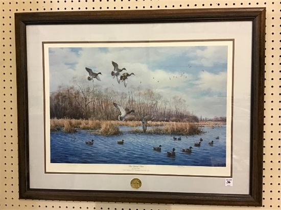 Framed-Signed & Numbered Ducks Unlimited 1993