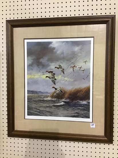 Framed-Signed & Numbered Duck Print by