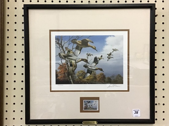 Framed-Signed & Numbered Duck Print