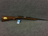 Special Presentation Model Daisy-Heddon VL RIfle