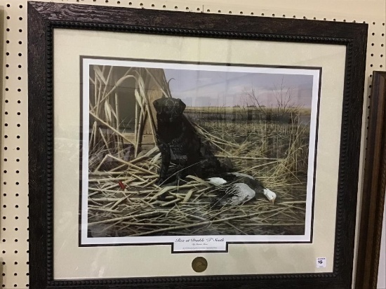 Professionally Framed 2010 Illinois Ducks